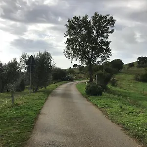https://podere-pini.it-tuscanyhotel.com